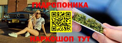 круглые Кингисепп