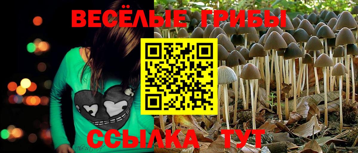Псилоцибиновые грибы Psilocybine cubensis Ейск